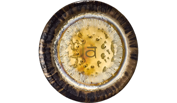 Meinl G24SC2