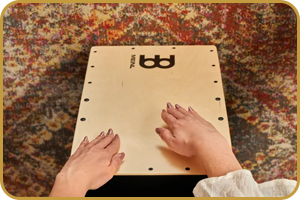 Meinl PSC100B