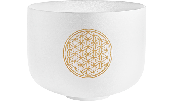 Meinl PCSB10FOL