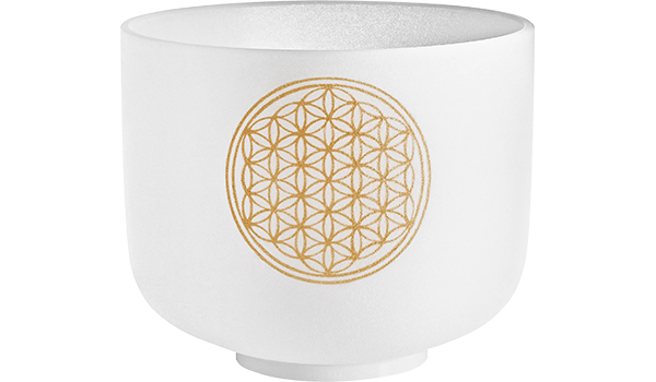 Meinl PCSB8FOL