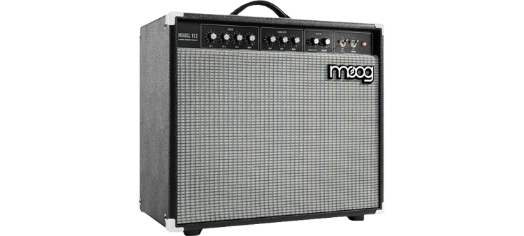 Moog Model 112 Instrument Amp 