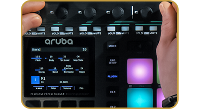 nektar aruba
