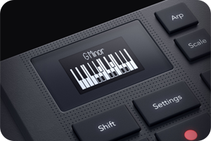 Novation FLkey Mini 25