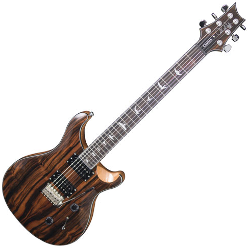 Prs SE guitar