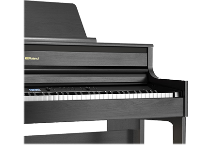Roland HP704-CH
