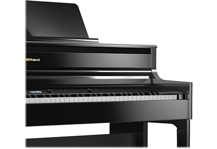 Roland HP704-PE
