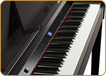 Roland LX-6