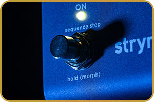 Strymon NightSky