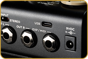 Strymon Flint V2 Tremolo and Reverb LN151973 | SCAN UK