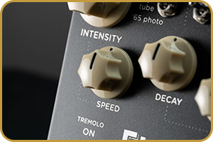 Strymon Flint V2