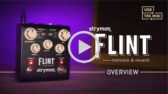 FLINT　STRYMON Strymon Flint V2 Tremolo and Reverb LN151973 | SCAN UK