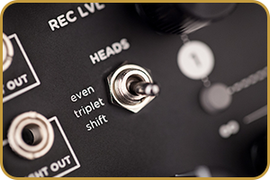 Strymon Magneto