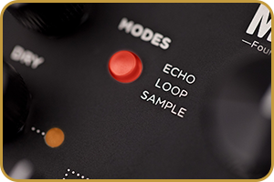 Strymon Magneto