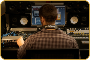 Tascam SERIES 208i