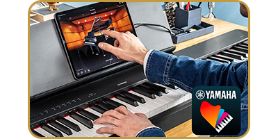 Yamaha P-225