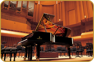 Yamaha YDP-146