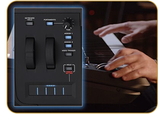Yamaha - Montage M6 Synthesizer