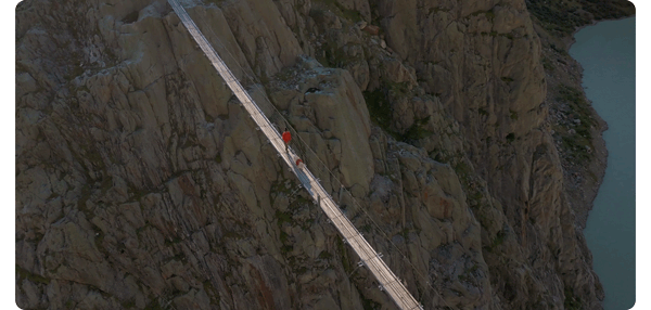 a person and their dog walking across a long rope bridge across a river