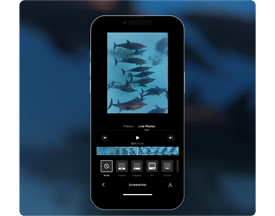image of apple iphone with DJI mimo app open editing video of dolphins to live photo