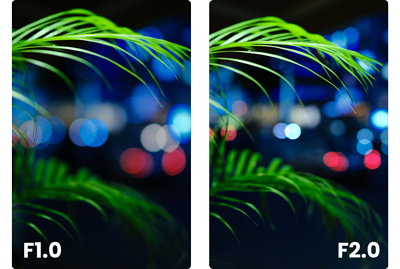 Split image comparison image of palm leaves at night at F1.0 and F2.0 aperture