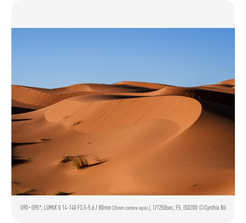 sample photograph of Desert Sand Dunes below clear blue sky