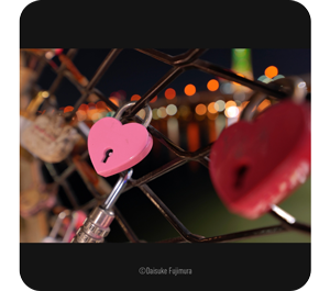 close up shot of a heart shaped padlock on a fence taken with the lumix s 24mm f1 8 macro lens