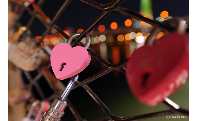 sample image of a heart shaped pad lock on a fence taken with the lumix s 24mm f1 8 macro lens