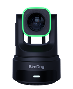 BirdDog X4 Ultra 4K60 PTZ Camera