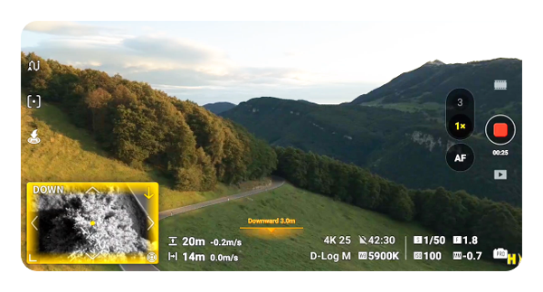 dji air 3s vision assist interface