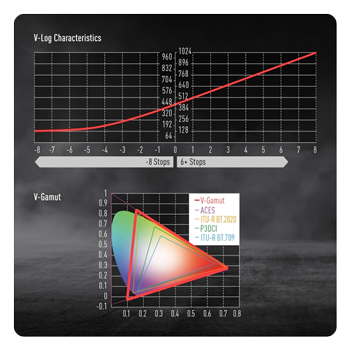 panasonic lumix s5d v-log and v-gamut charts