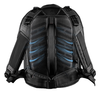 back view of the pgytech onemo 2 camera backpack