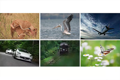 different trackable subjects on the sony a9 iii