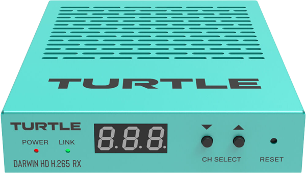 Turtle AV Darwin HD H.265 RX