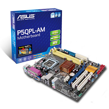 ASUS P5QPL-AM Intel G41 775 Motherboard : image 1
