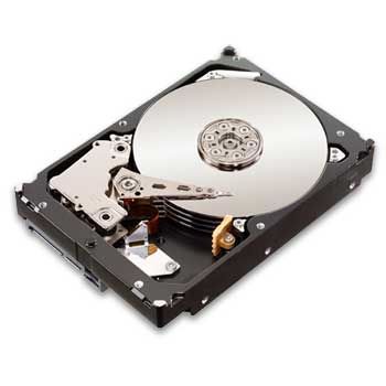 Seagate Constellation ES 1TB Hard Drive - HDD