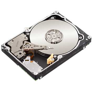 Seagate Constellation 500GB SAS 2.5" Notebook Hard Drive : image 1