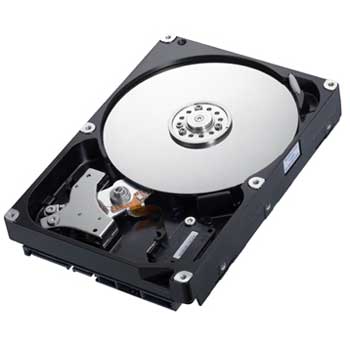 Samsung Spinpoint F4 320GB Hard Drive - HDD