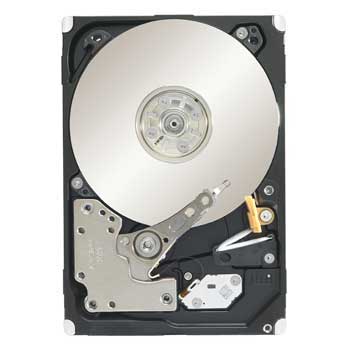 Seagate Constellation.2 1TB Enterprise Internal Hard Drive