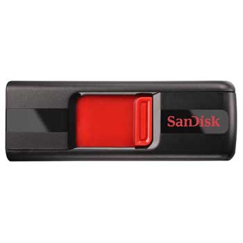 SanDisk Cruzer Black USB Flash Drive - 16GB