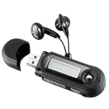 Intenso MUSIC WALKER - 2GB