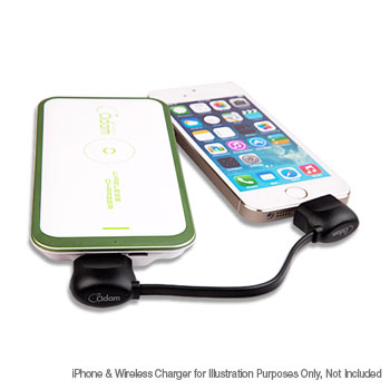 Adam Elements Black 10cm iPhone 5/6/6+ Lightning Charge Cable : image 2