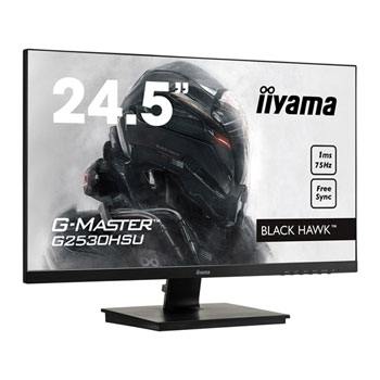 iiyama 25" G-Master Black Hawk Full HD FreeSync Gaming Monitor : image 1