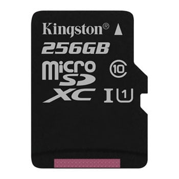 Kingston Canvas Select 256GB UHS Micro SD Memory Card : image 1