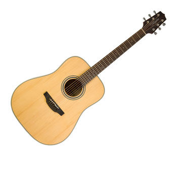 Takamine GD20 Dreadnought Acoustic Guitar : image 1