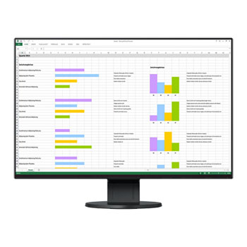 EIZO FlexScan EV2456-BK