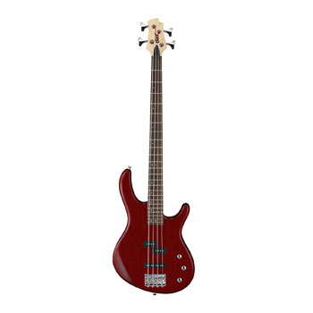 Cort Action PJ Bass Guitar (Black Cherry) + EBS Session 30 Combo Bass Amp + Roland Cable Bundle : image 2