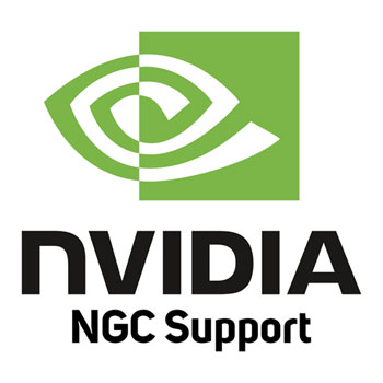 NGC Support Services (Per GPU) V100 Standalone 1 Year Renew : image 1