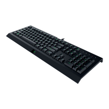 Razer Cynosa Lite Essential Gaming Keyboard : image 3