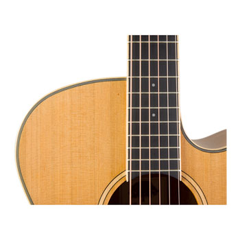 Tanglewood - Winterleaf TW9, Electro Acoustic Guitar : image 2