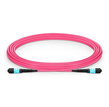 FS 16ft MTP-12 to MTP-12 OM4 Multimode Elite Trunk Cable : image 1